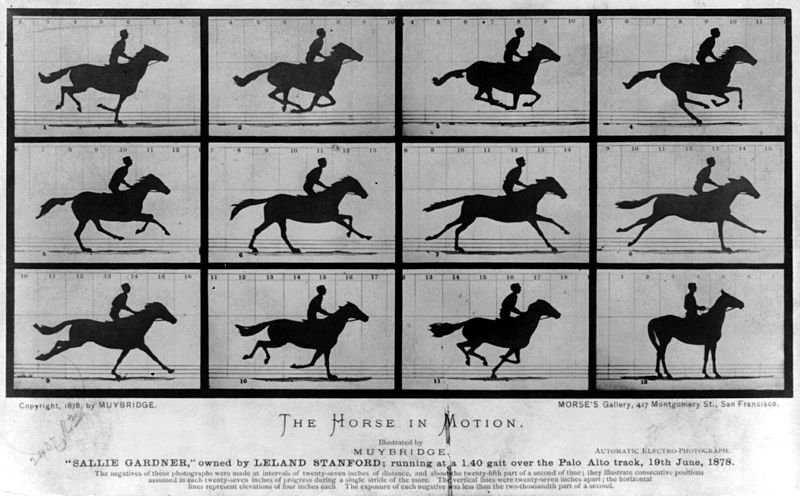 Stillbilder från The Horse in Motion