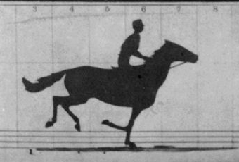 Animationen The Horse in Motion